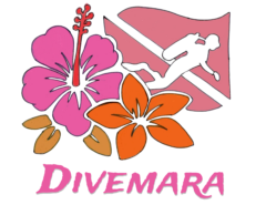 Divemara
